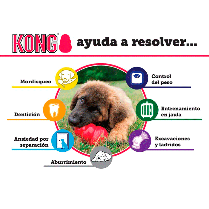Kong Senior Kong Senior